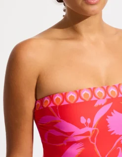 Birds of Paradise DD Bandeau Swimsuit - Chilli Red