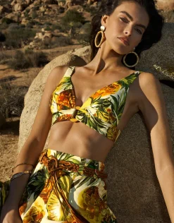 Optimist Banded Bikini Top - Pina Colada