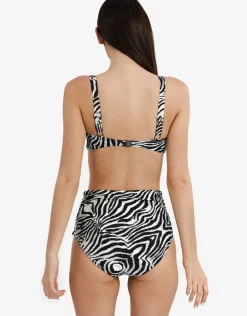Zebra Chara Bikini Pant - Brown and White